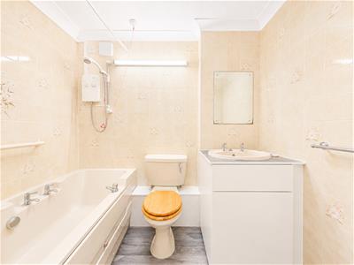 Picture 7